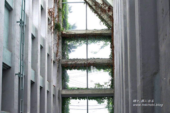 コミュニティーセンター進修館　ガラス張りの吹抜け（埼玉県宮代町）