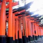 【京都】「伏見稲荷大社・東福寺」訪問ガイド、絶景紅葉を満喫しよう！