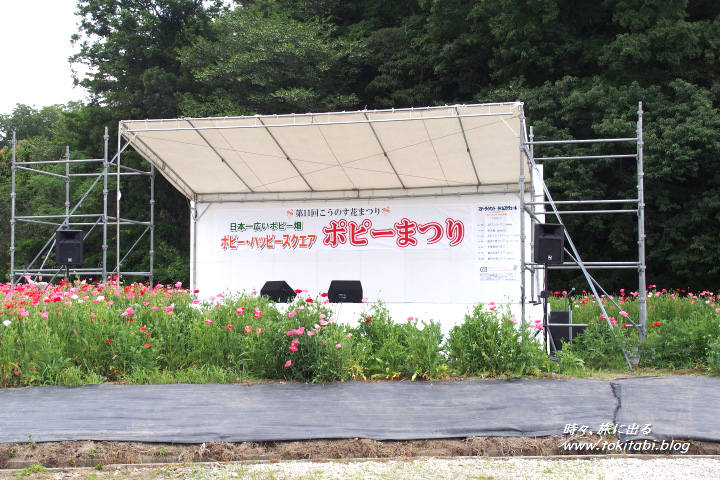 ポピーまつり馬室会場　ポピー・ハッピースクエアに設置された特設ステージ（埼玉県鴻巣市）