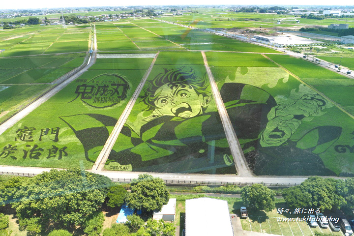 古代蓮の里（埼玉県行田市）