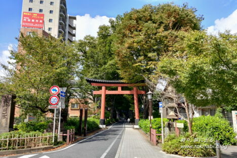 見沼の「氷川三社」探訪、一宮氷川・中山・氷川女体と周辺紹介！【埼玉・さいたま市】