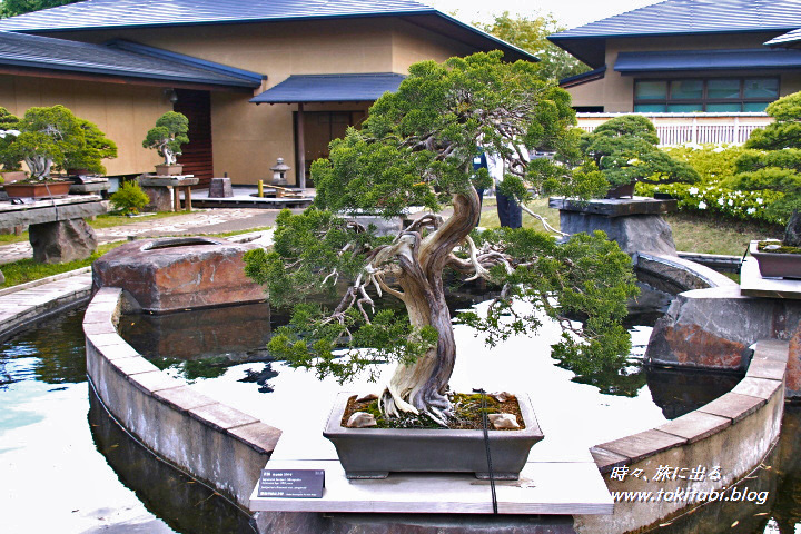 さいたま市立 大宮盆栽美術館（埼玉県さいたま市）