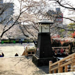 「飛鳥山公園」は江戸時代からの桜の名所、渋沢栄一ゆかりの建築も！【東京・北区】