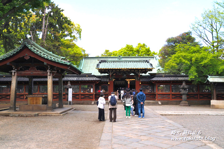 東京都文京区　根津神社の社殿