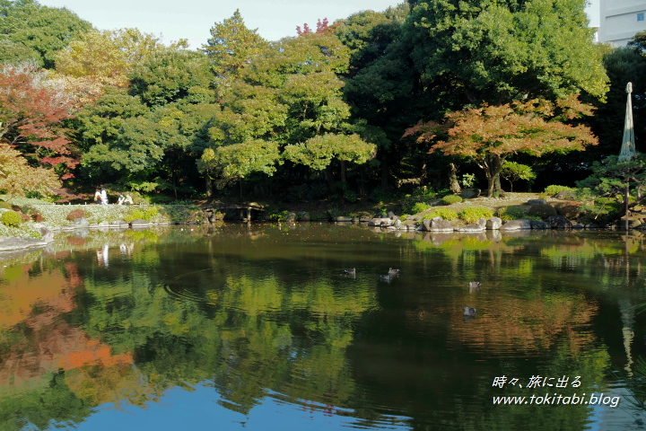 東京都北区 旧古河庭園の日本庭園