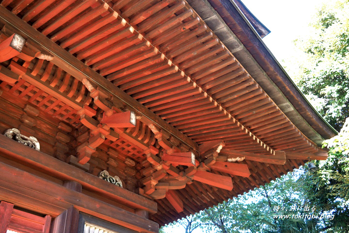 西福寺の三重塔（埼玉県川口市）