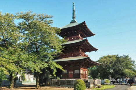 「西福寺」に、埼玉県で一番高い木造建築の三重塔に会いに行った！【埼玉・川口市】