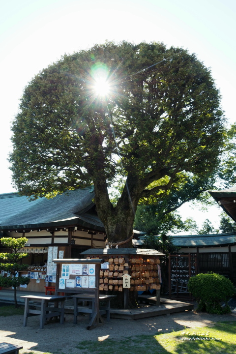 織姫神社（栃木県足利市）