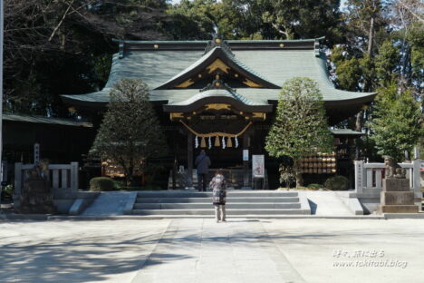 春日部総鎮守「春日部八幡神社」、御神木が見守る静かな境内をめぐる【埼玉・春日部市】