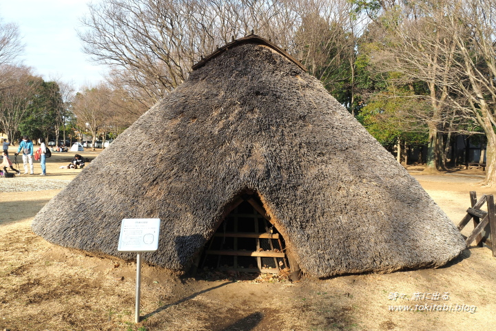 埼玉県富士見市 水子貝塚公園の竪穴式住居