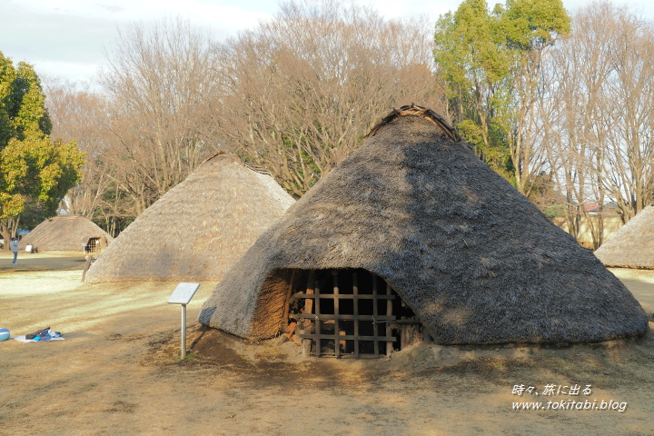 埼玉県富士見市 水子貝塚公園の竪穴式住居