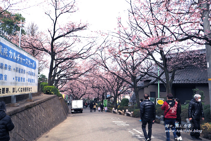 密蔵院の参道（埼玉県川口市安行）