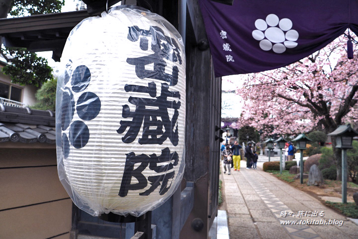 密蔵院の提灯（埼玉県川口市安行）