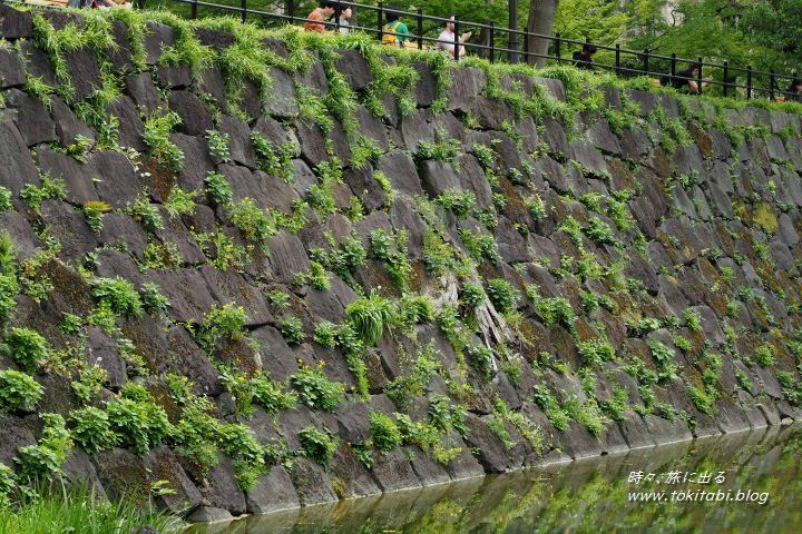 日比谷公園（東京都千代田区）