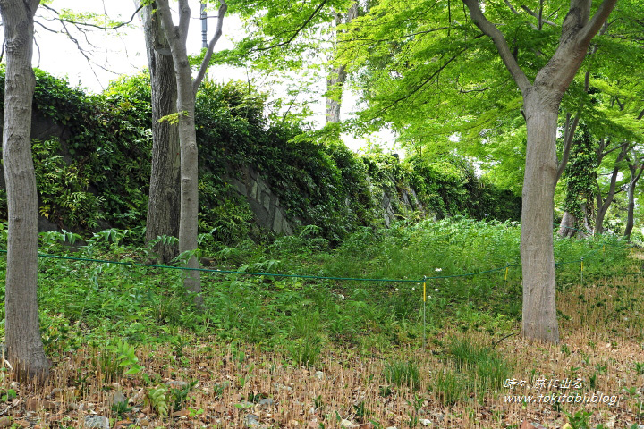 日比谷公園（東京都千代田区）