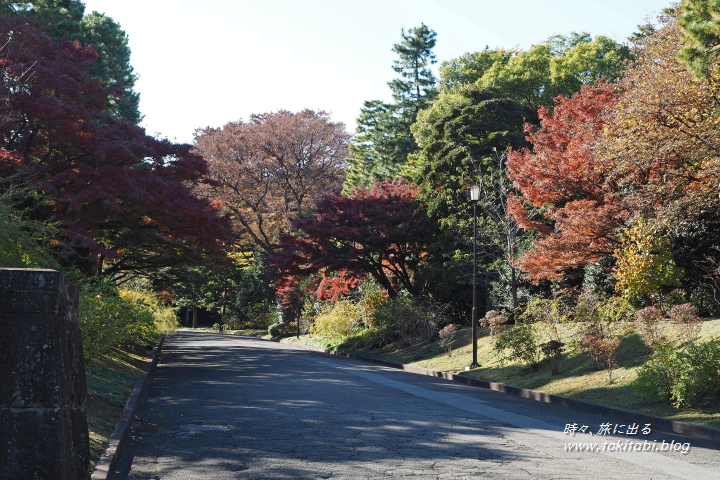 秋の皇居乾門特別通り抜け（東京都千代田区）