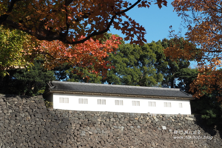 秋の皇居乾門特別通り抜け（東京都千代田区）