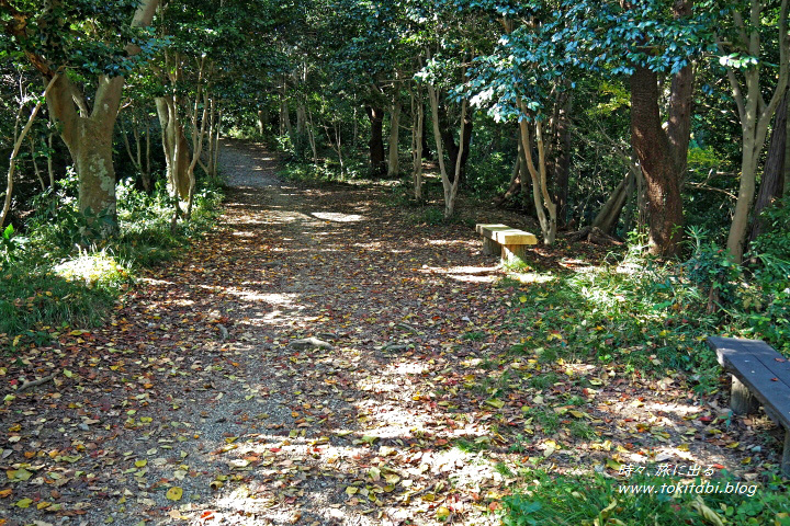 八王子城跡（東京都八王子市）