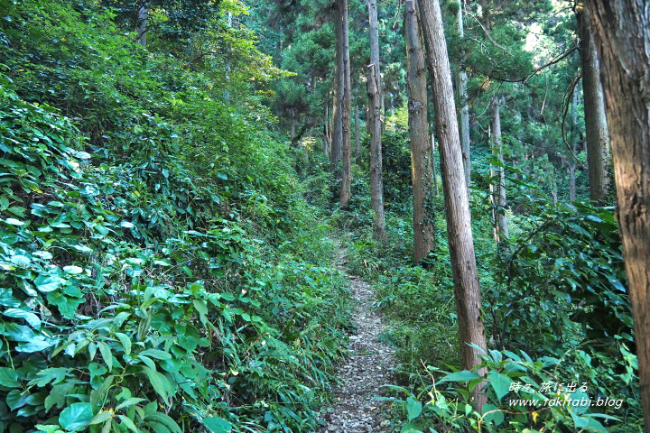 八王子城跡（東京都八王子市）