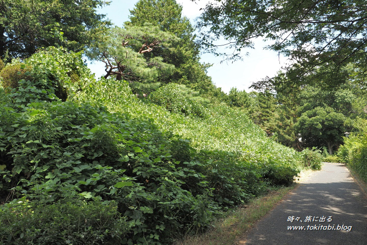 忍城址（埼玉県行田市）