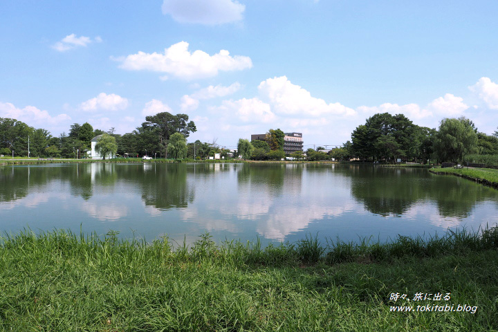 諏訪神社 東照宮（埼玉県行田市）