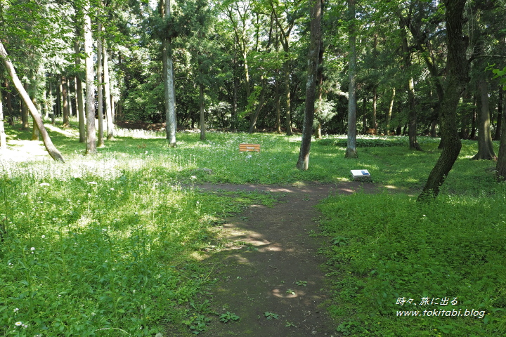 箕輪城（群馬県高崎市）