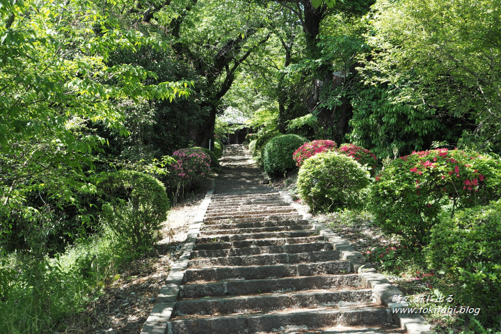 箕輪城（群馬県高崎市）