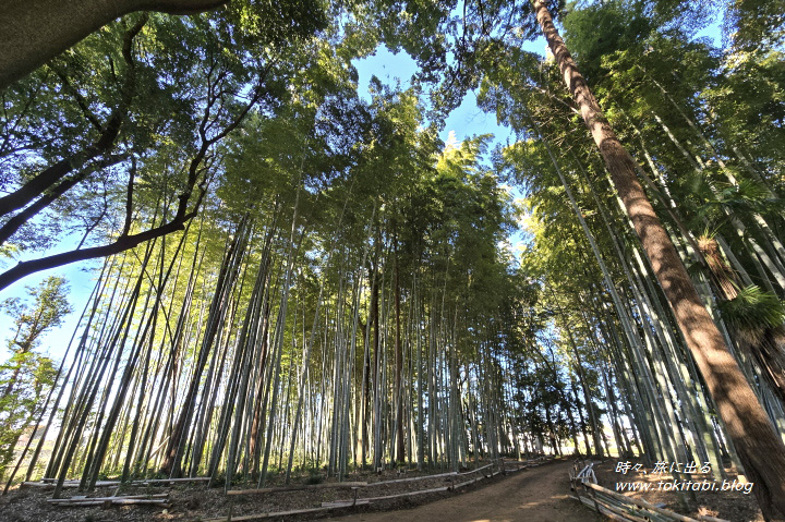 宮代町郷土資料館（埼玉県宮代町）