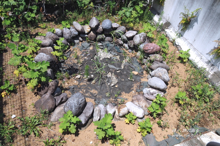 武蔵国国府跡　国司館と家康御殿史跡広場（東京都府中市）