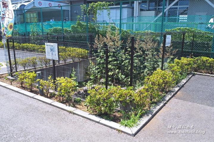 武蔵国国府跡　国司館と家康御殿史跡広場（東京都府中市）