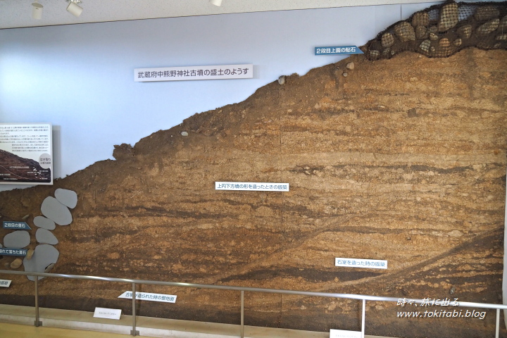 武蔵府中熊野神古墳 展示館（東京都府中市）