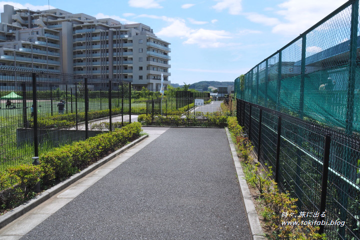 武蔵国国府跡　国司館と家康御殿史跡広場（東京都府中市）