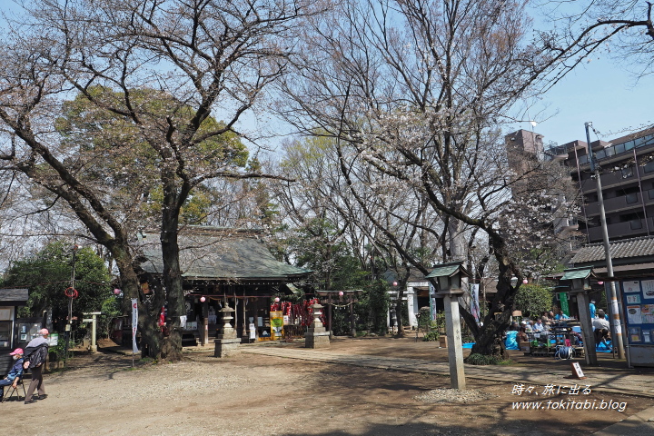 敷島神社の境内（埼玉県志木市）