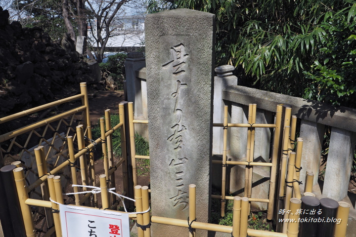 田子山富士塚　「是より登山ミち」の石碑（埼玉県志木市）