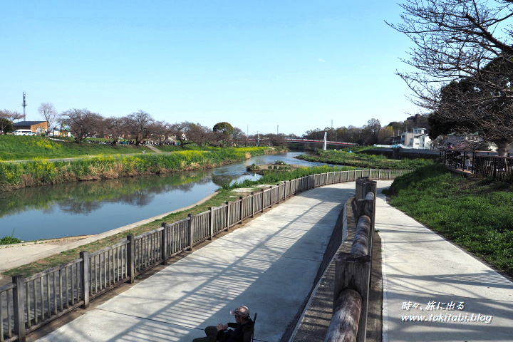 いろは親水公園　川べりの風景（埼玉県志木市）