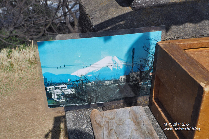 田子山富士塚　山頂にある富士山の写真（埼玉県志木市）