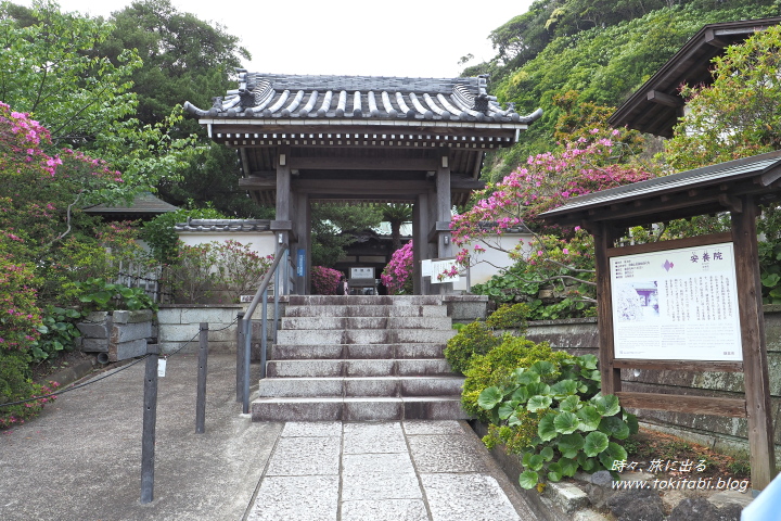 安養院の山門（神奈川県鎌倉市）