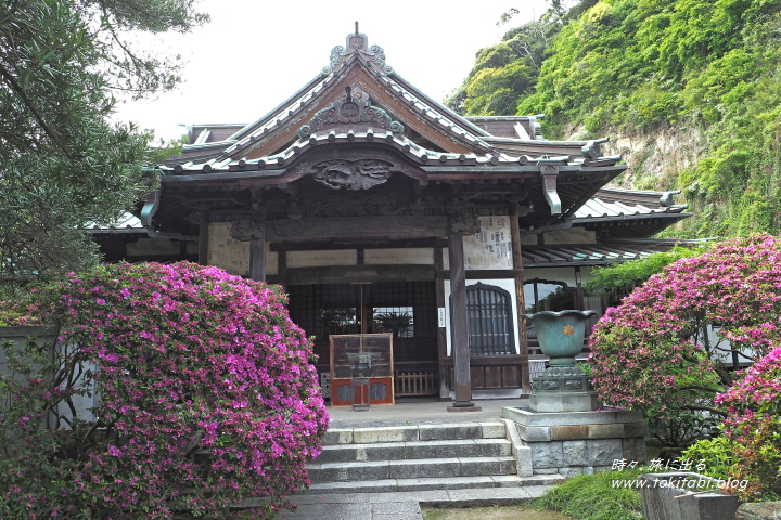安養院の本堂（神奈川県鎌倉市）